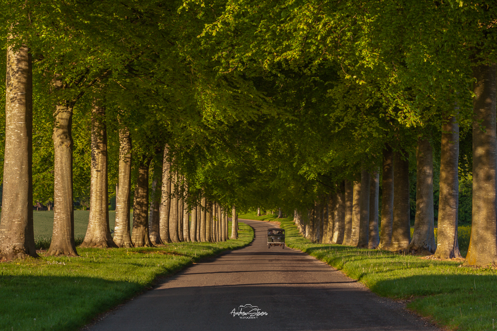 Driving Home, Moor Crichel